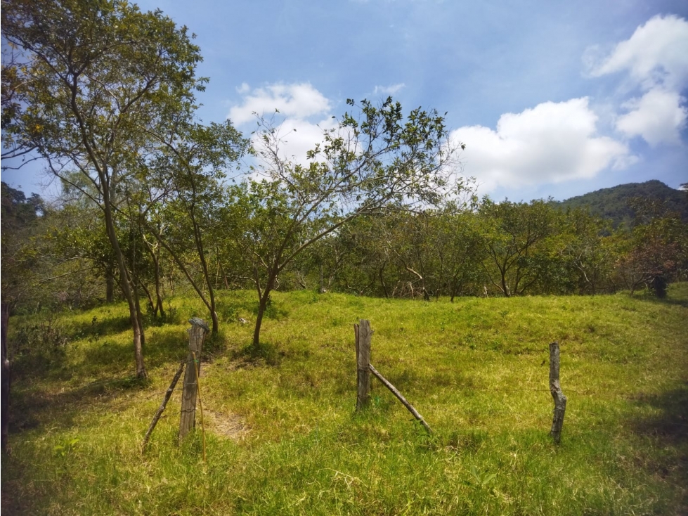 Finca Agrícola en Venta de 13.000 M2 en Bituima Cundinamarca - 1
