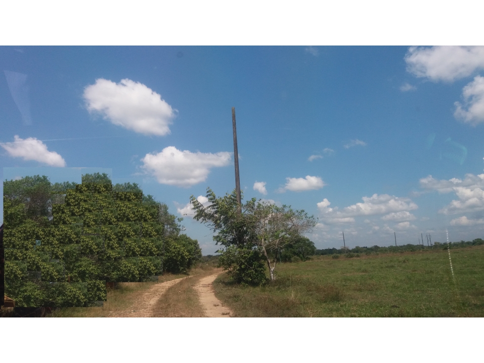 VENDO LOTE 800 M2 EN CONDOMINIO LAS GARZAS RESORT - PTO LOPEZ (META) - 5