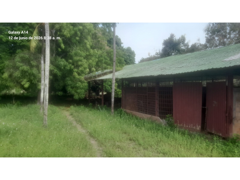 SE VENDE "EL RANCHON" DE 2.000 HECTAREAS EN CAMBAO - CUNDINAMARCA - 1