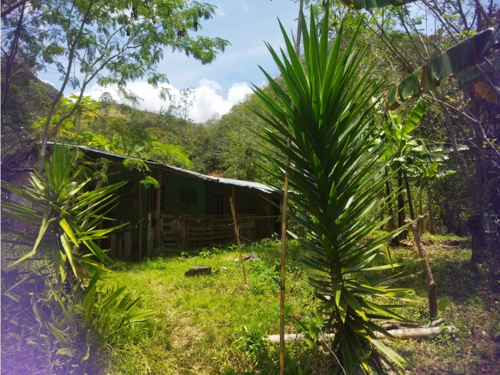 Finca Agrícola en Venta de 13.000 M2 en Bituima Cundinamarca - 2