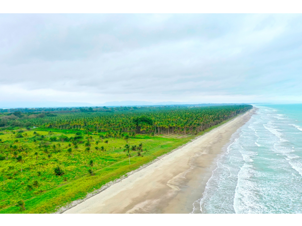 Terreno en venta frente al mar en Pedernales - 1