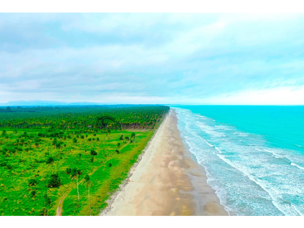 Terreno en venta frente al mar en Pedernales - 2