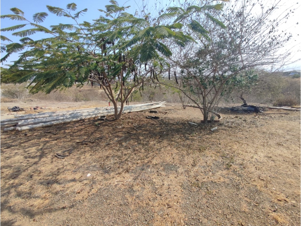 Terreno en venta en San Mateo - 2