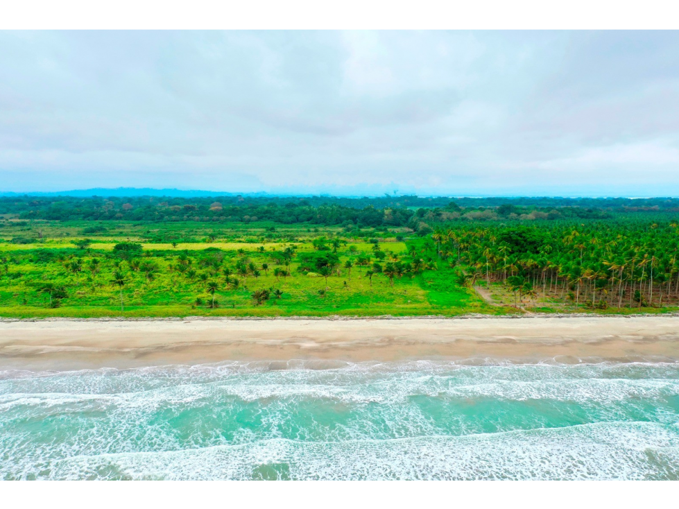 Terreno en venta frente al mar en Pedernales - 3