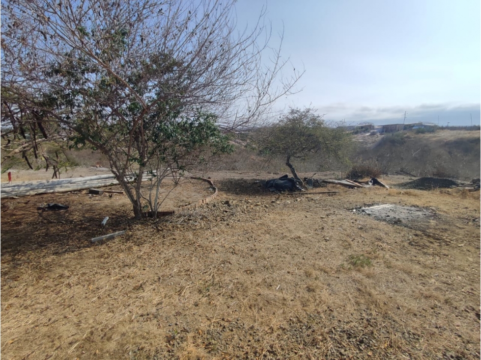 Terreno en venta en San Mateo - 3