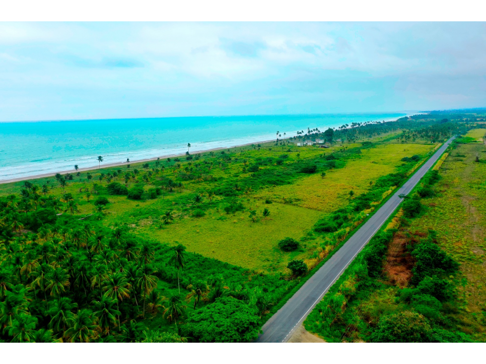 Terreno en venta frente al mar en Pedernales - 5
