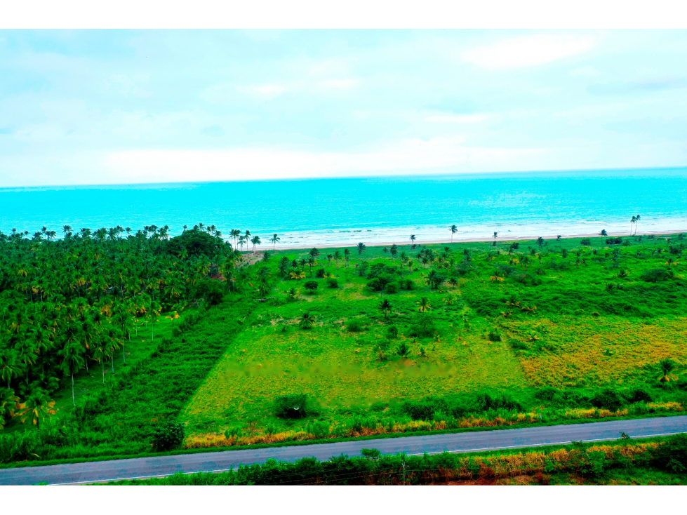 Terreno en venta frente al mar en Pedernales - 6