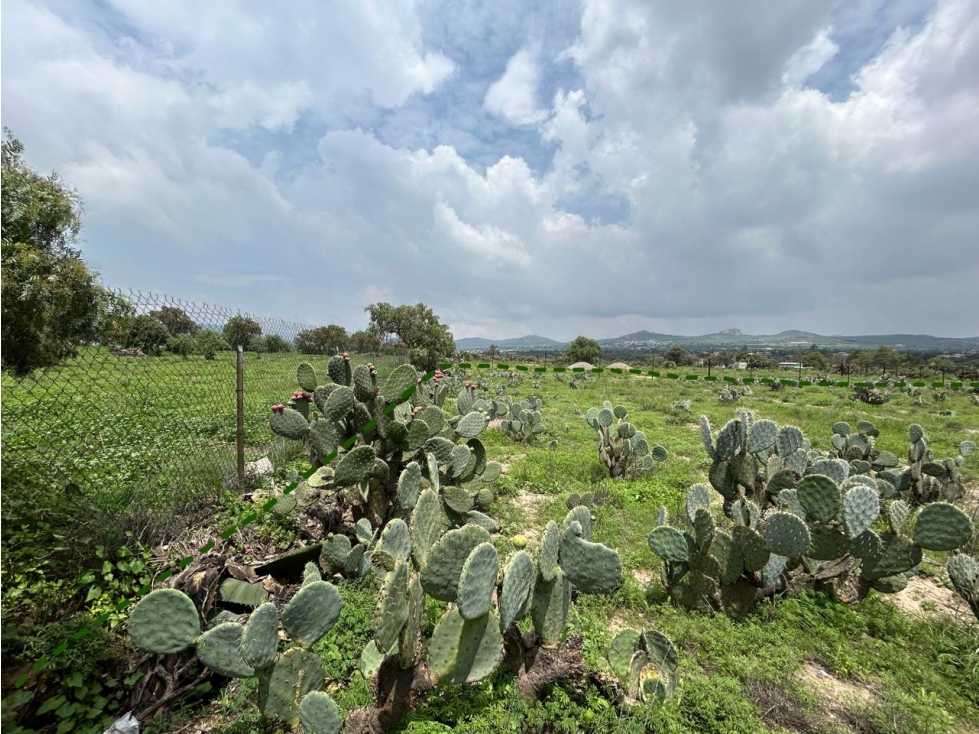 TERRENO EN VENTA PACHUQUILLA MINERAL DE LA REFORMA HIDALGO — foto 4