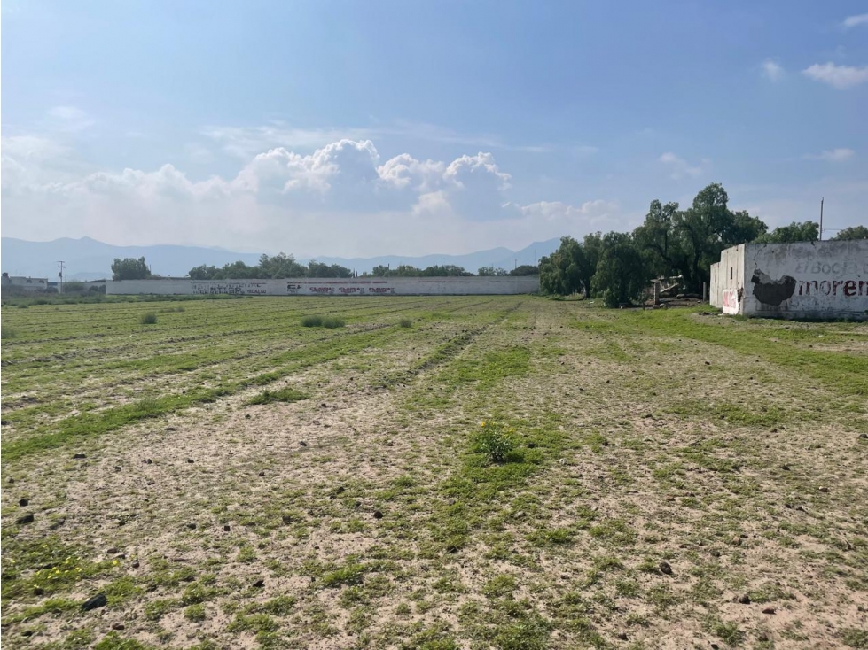 VENTA DE UNA HECTAREA EN EL ARENAL ACTOPAN HIDALGO - 4