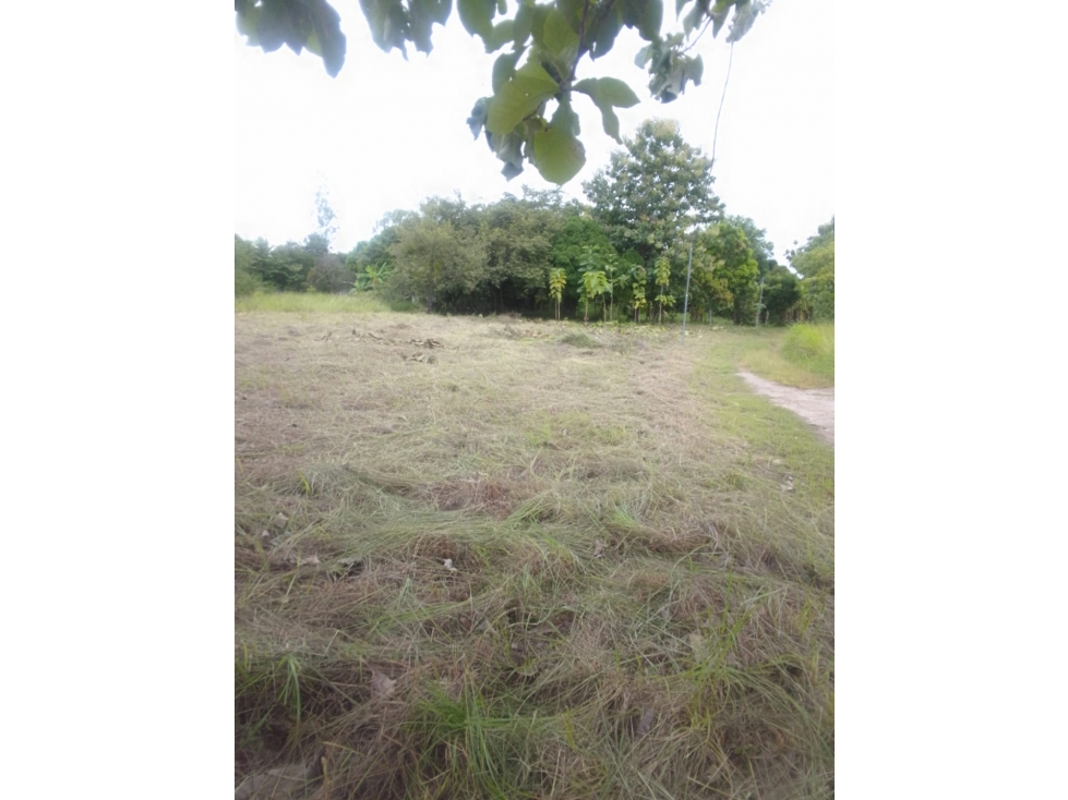 Terreno en Antón Coclé en Venta - 1