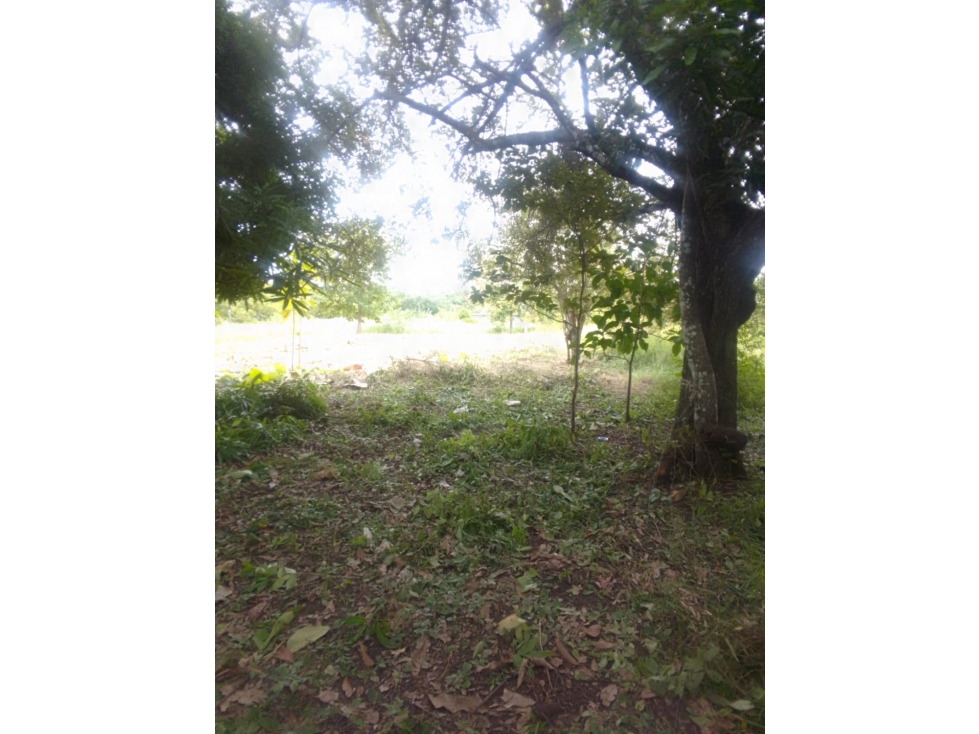 Terreno en Antón Coclé en Venta - 2