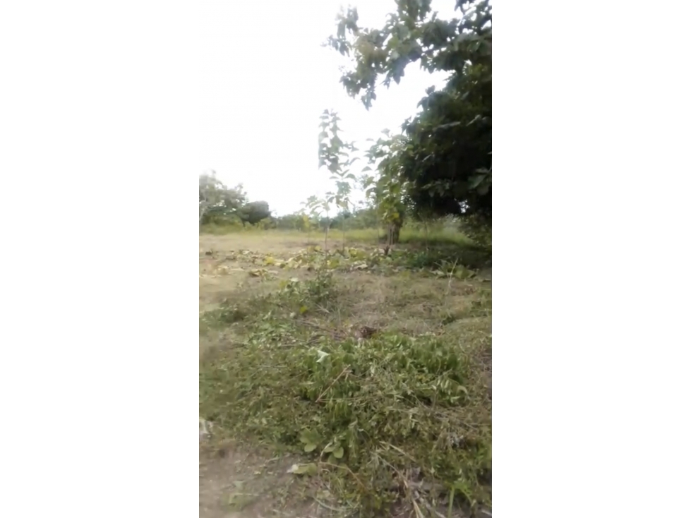 Terreno en Antón Coclé en Venta - 3