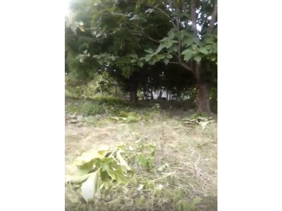 Terreno en Antón Coclé en Venta - 4