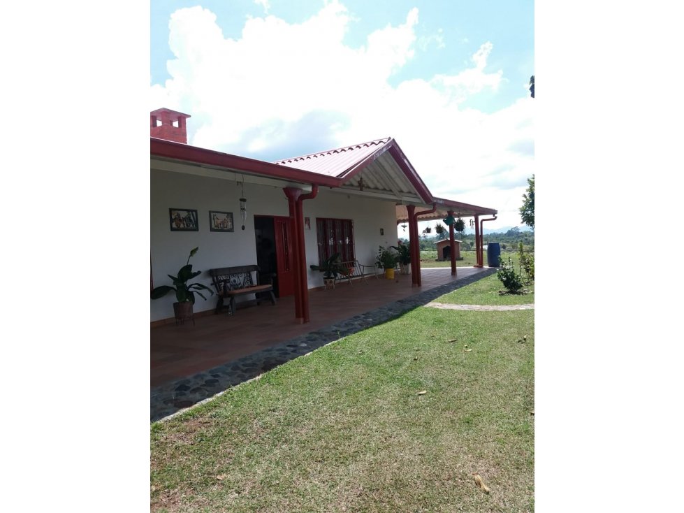 VENTA FINCA CAFETERA OPORTUNIDAD INVERSION - 5