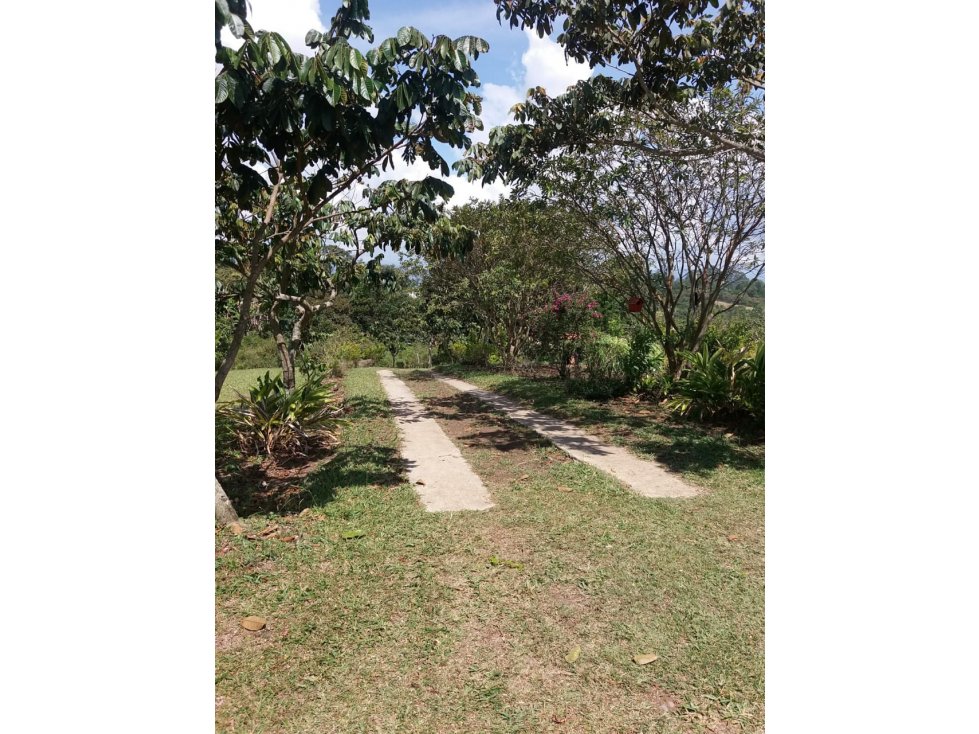 VENTA FINCA CAFETERA OPORTUNIDAD INVERSION - 2