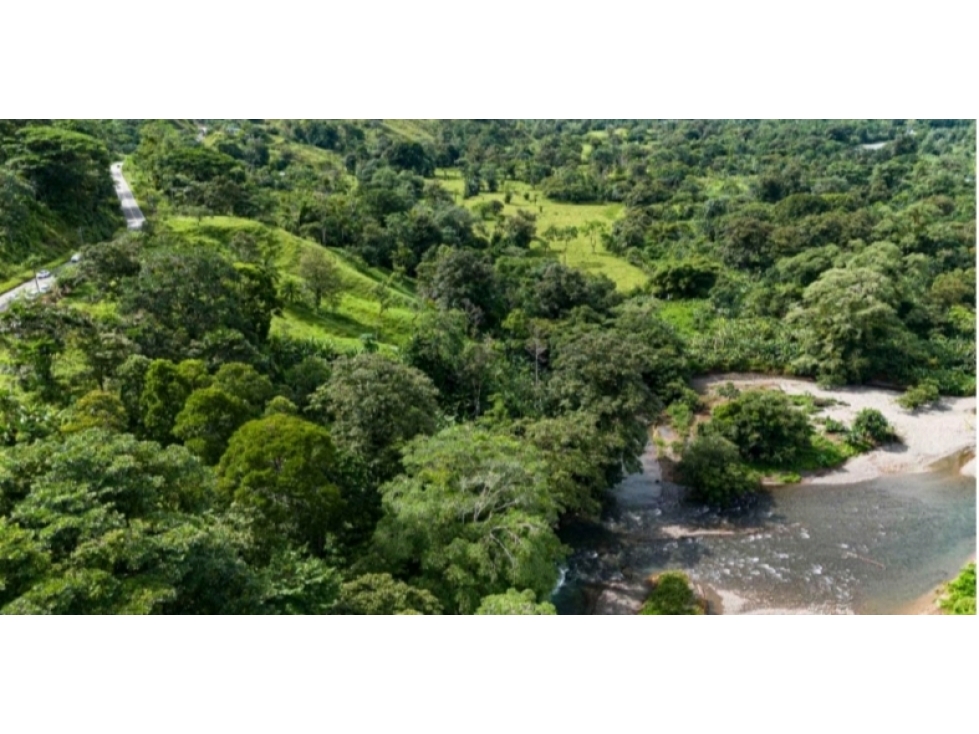 For sale | Land | Punta Peña, Chiriquí Grande | 27 Hectares | $500,000 - 2