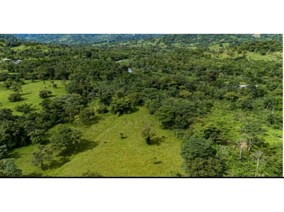 For sale | Land | Punta Peña, Chiriquí Grande | 27 Hectares | $500,000 - 3