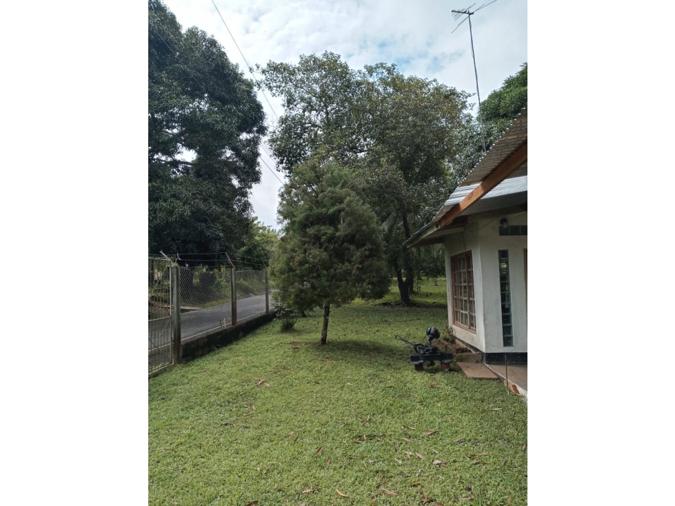 Se Vende Finca Chiriquí, Puerto Armuelles (AB) — foto 3