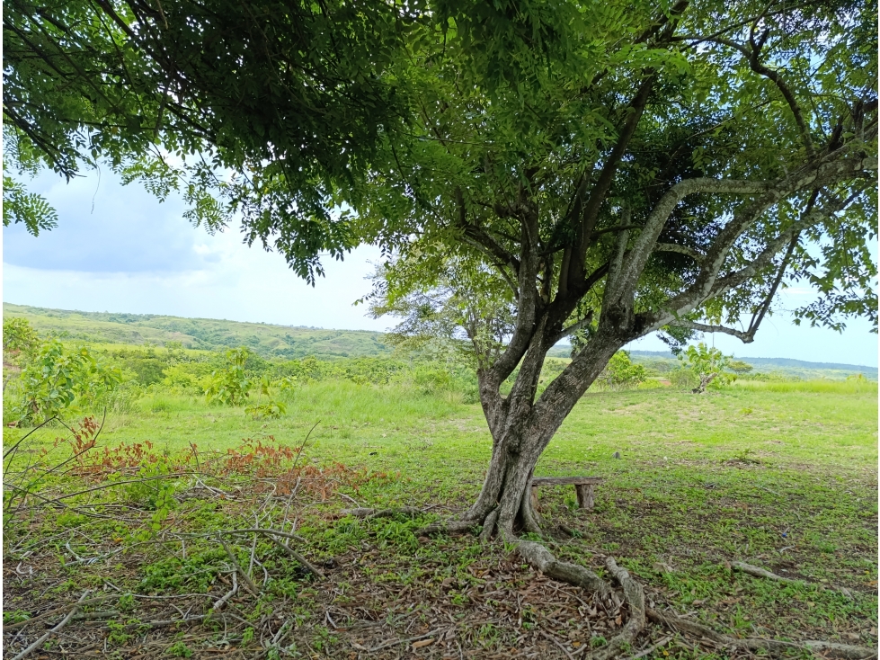 Finca de casi 10 Hectáreas | Llano Bonito, Coclé | ES - 6