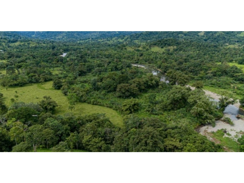 For sale | Land | Punta Peña, Chiriquí Grande | 27 Hectares | $500,000 - 4