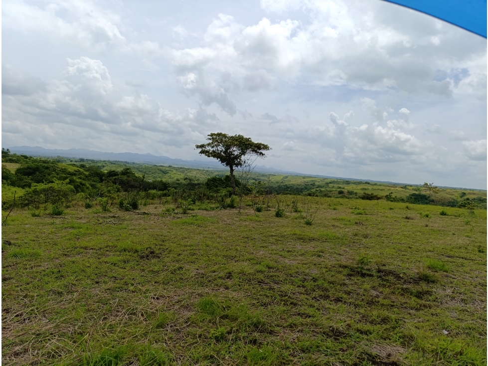 Finca de casi 10 Hectáreas | Llano Bonito, Coclé | ES - 4