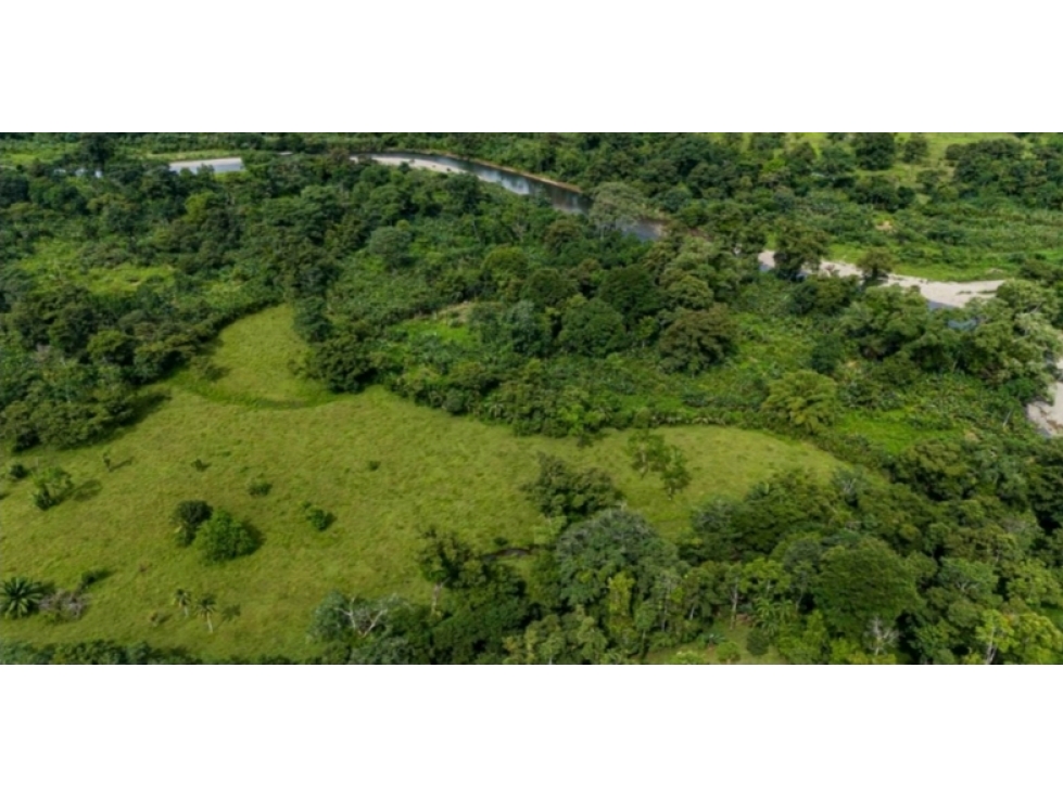 For sale | Land | Punta Peña, Chiriquí Grande | 27 Hectares | $500,000 - 5