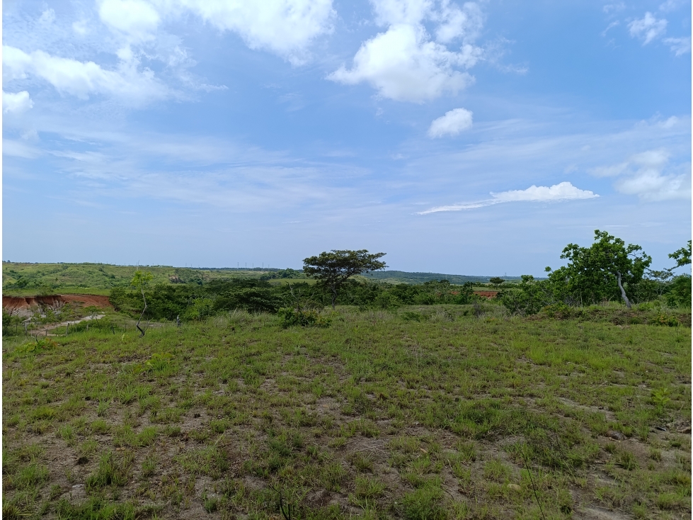 Finca de casi 10 Hectáreas | Llano Bonito, Coclé | ES - 5