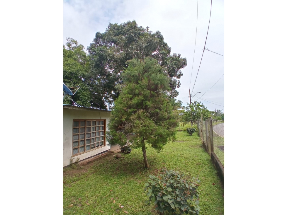 Se Vende Finca Chiriquí, Puerto Armuelles (AB) — foto 6