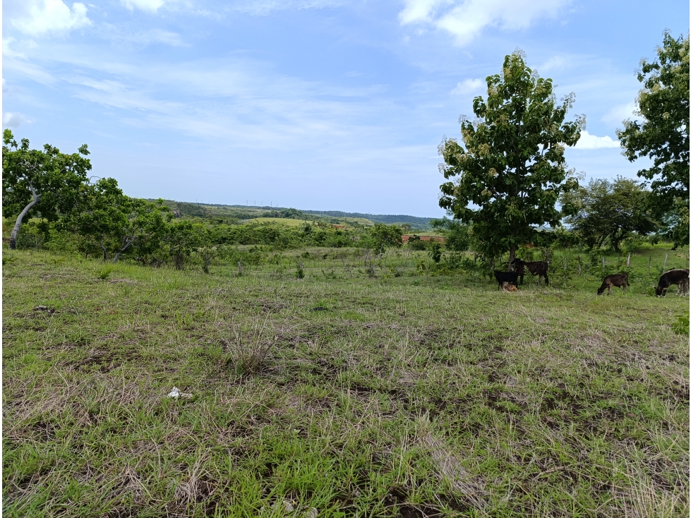 Finca de casi 10 Hectáreas | Llano Bonito, Coclé | ES - 2