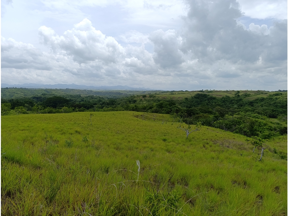 Finca de casi 10 Hectáreas | Llano Bonito, Coclé | ES - 3