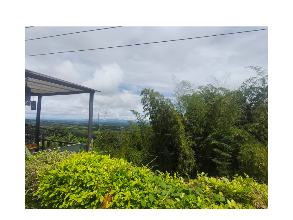 EN VENTA CASA CAMPESTRE EN ALTAGRACIA PEREIRA — foto 5