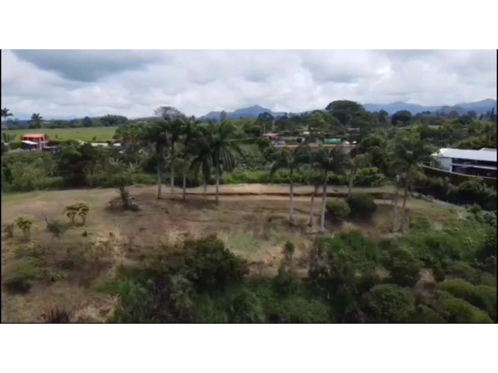 SE VENDE FINCA EN VEREDA LA SIRIA PEREIRA — foto 6