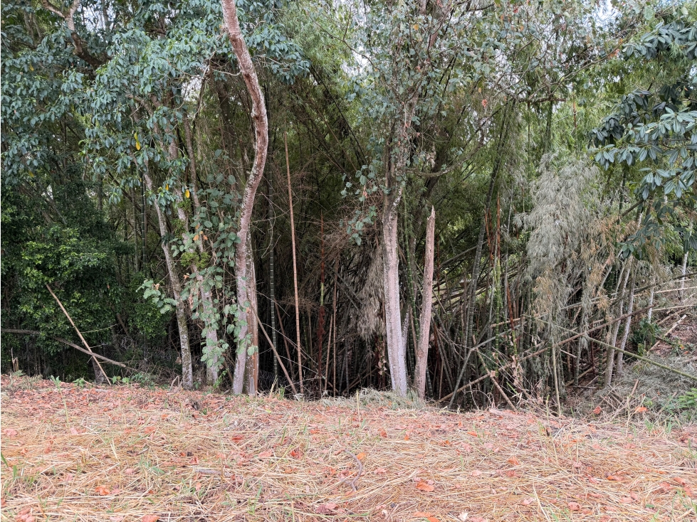 EN VENTA LOTE EN CONJUNTO CERRADO EN CERRITOS PEREIRA — foto 3