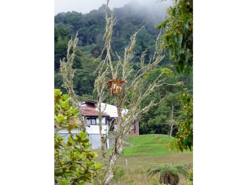 (LGG) CASA FINCA EN VENTA KM 24 VÍA ANTIGUA AL MAR — foto 2