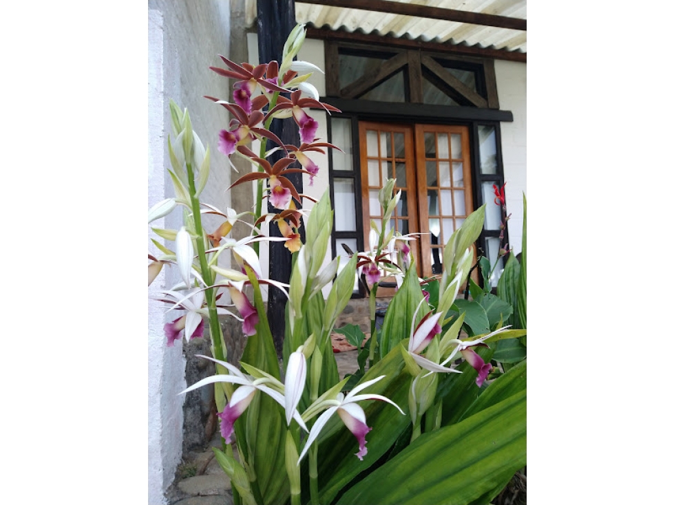 (LGG) CASA FINCA EN VENTA KM 24 VÍA ANTIGUA AL MAR — foto 6