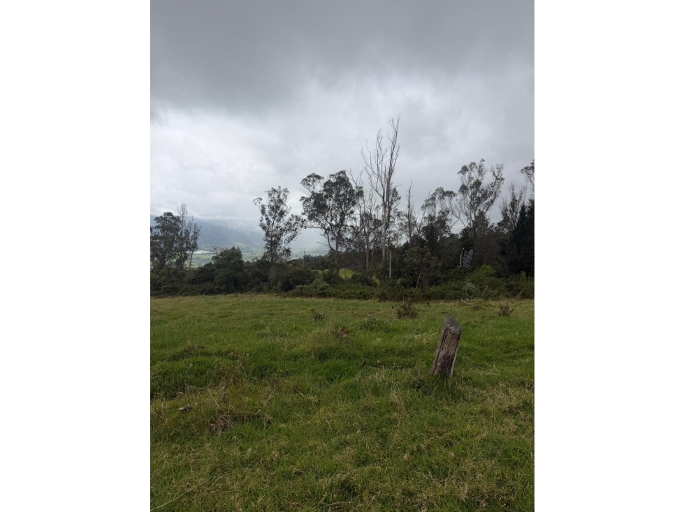 ¡OPORTUNIDAD DE INVERSIÃN Y ESPACIO CAMPESTRE EN YERBABUENA! - 3