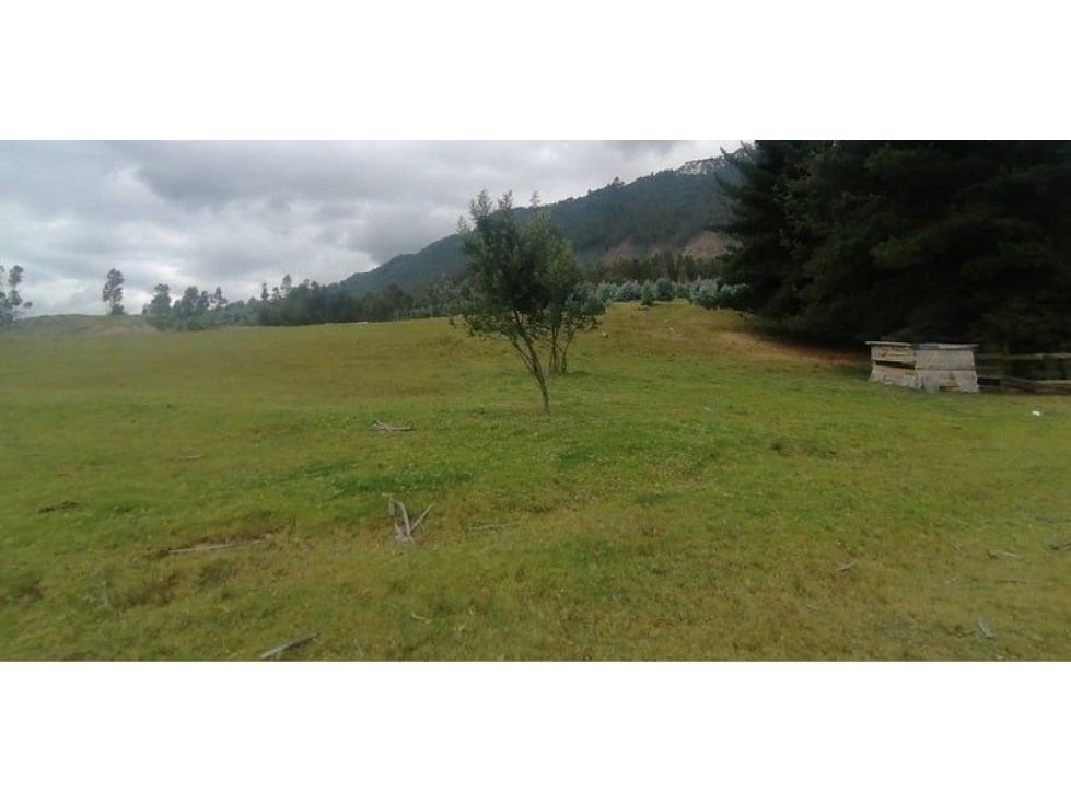 Lote en venta en Cajicá - 6