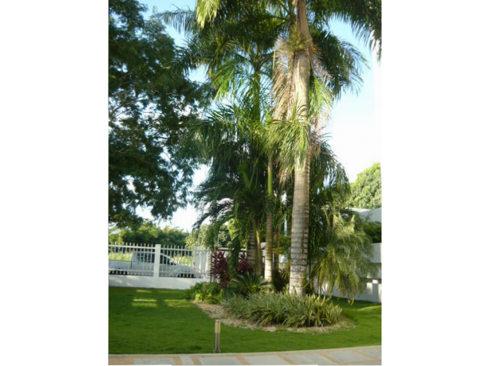 Venta Apartamento El Recreo Montería Córdoba — foto 2