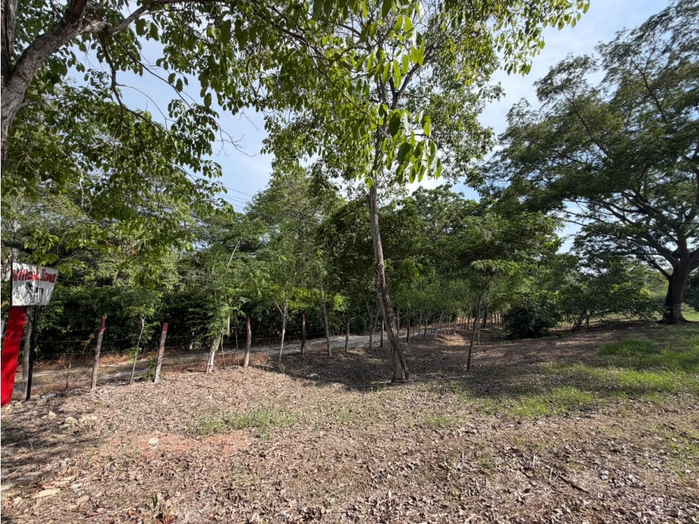VENTA LOTE CAMPESTRE TURBACO CARTAGENA — foto 4