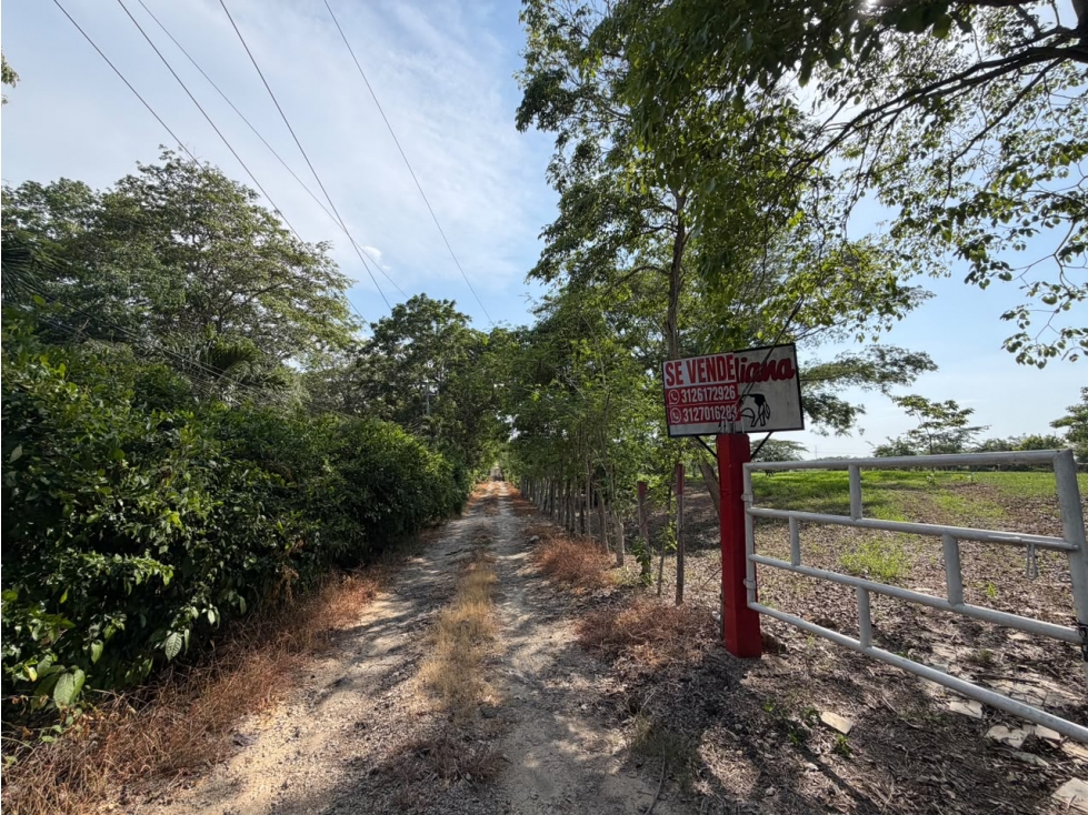 VENTA LOTE CAMPESTRE TURBACO CARTAGENA — foto 3