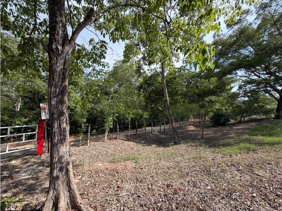 VENTA LOTE CAMPESTRE TURBACO CARTAGENA — foto 5