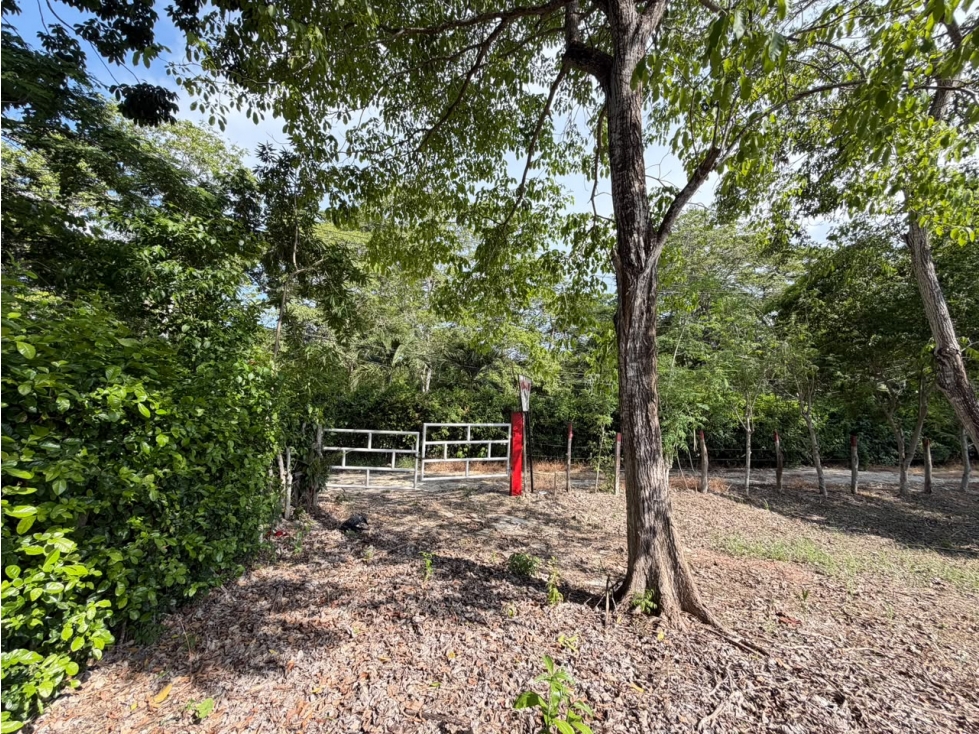 VENTA LOTE CAMPESTRE TURBACO CARTAGENA — foto 6