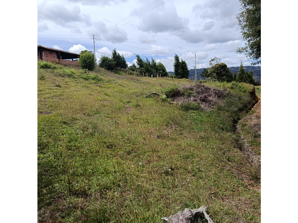Vendo lote en Guarne Antioquia- Vereda san Isidro