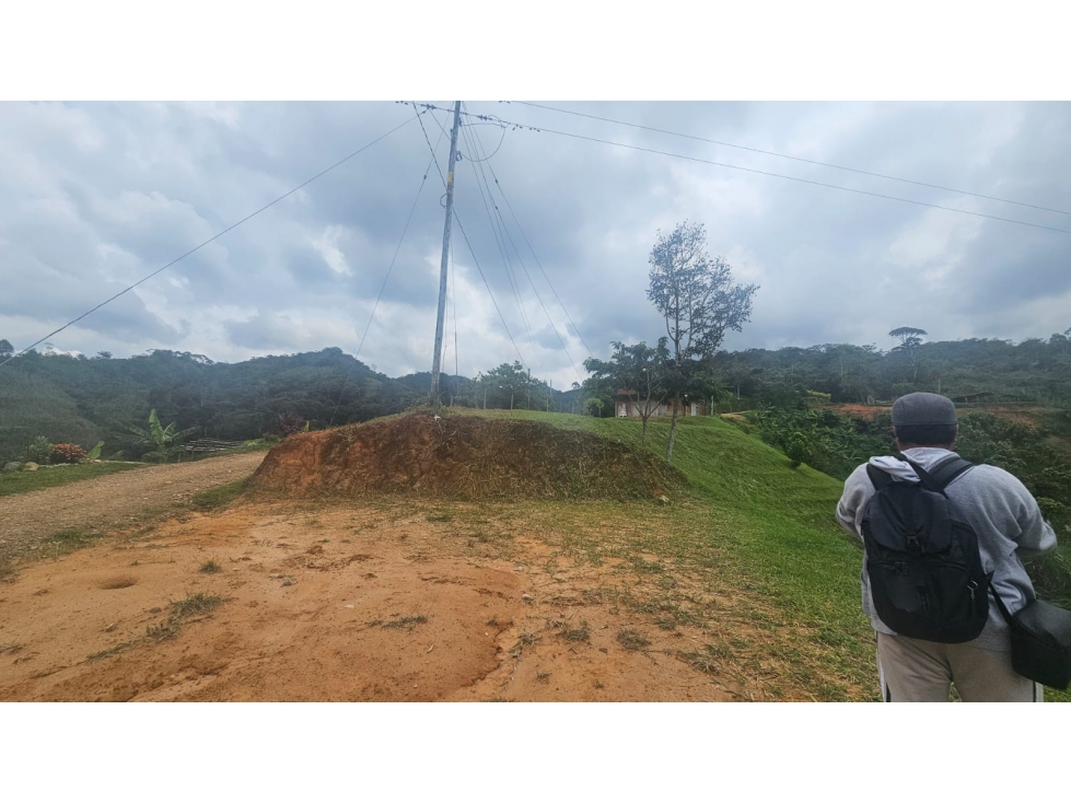 VENDO FINCA EN SAN RAFAEL PARA PARCELAR O PARA AGRICULTURA - 1
