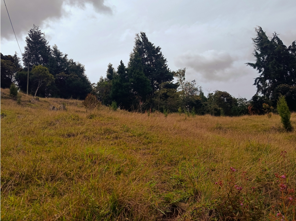 Vendo lote en Guarne Antioquia- Vereda san Isidro — foto 3