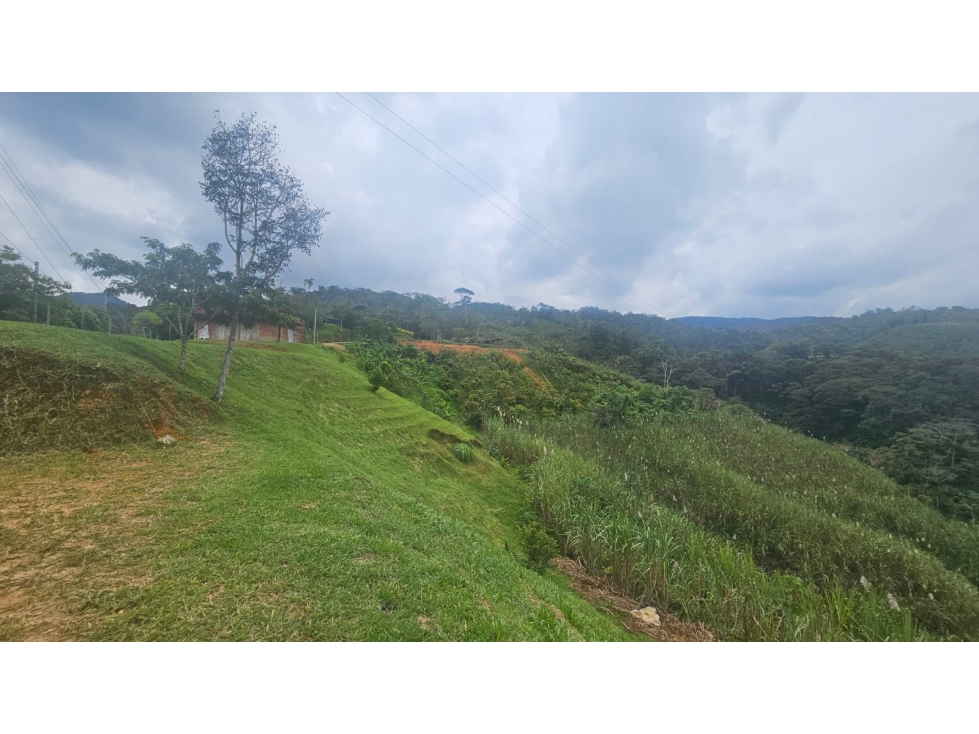 VENDO FINCA EN SAN RAFAEL PARA PARCELAR O PARA AGRICULTURA - 3