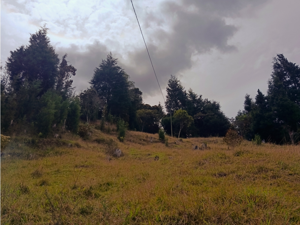 Vendo lote en Guarne Antioquia- Vereda san Isidro — foto 4