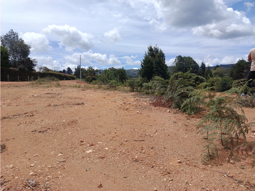 Vendo lote en vereda san Isidro en guarne-Antioquia — foto 4