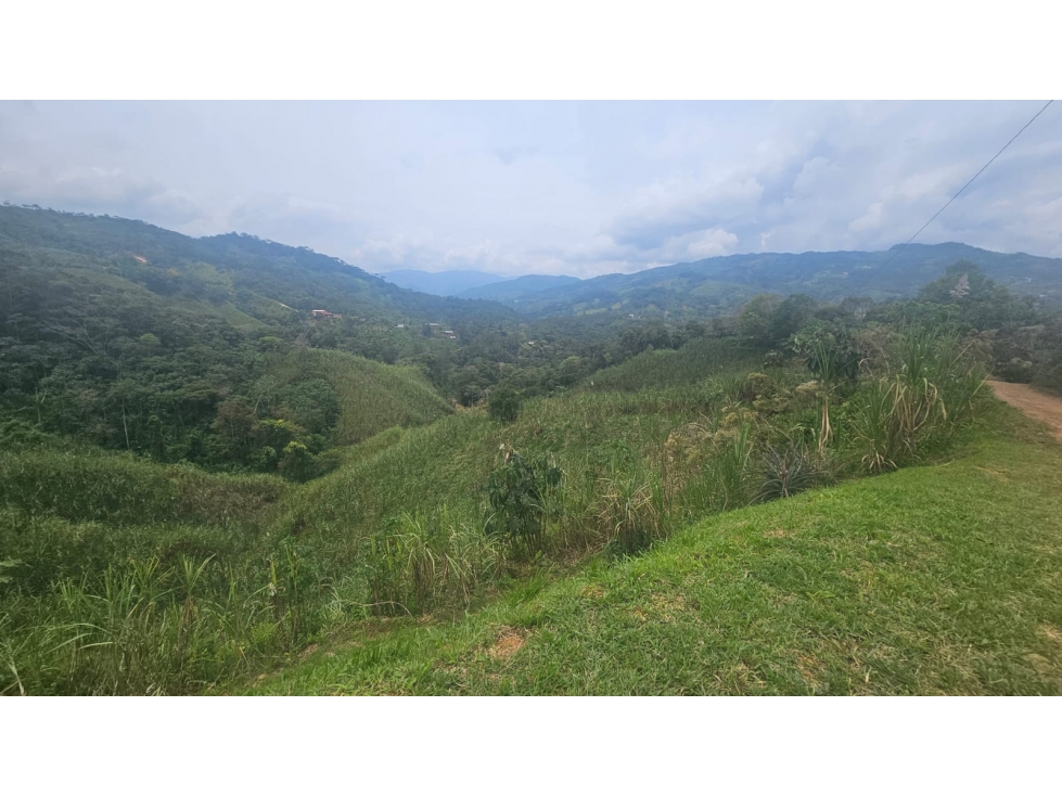 VENDO FINCA EN SAN RAFAEL PARA PARCELAR O PARA AGRICULTURA - 4