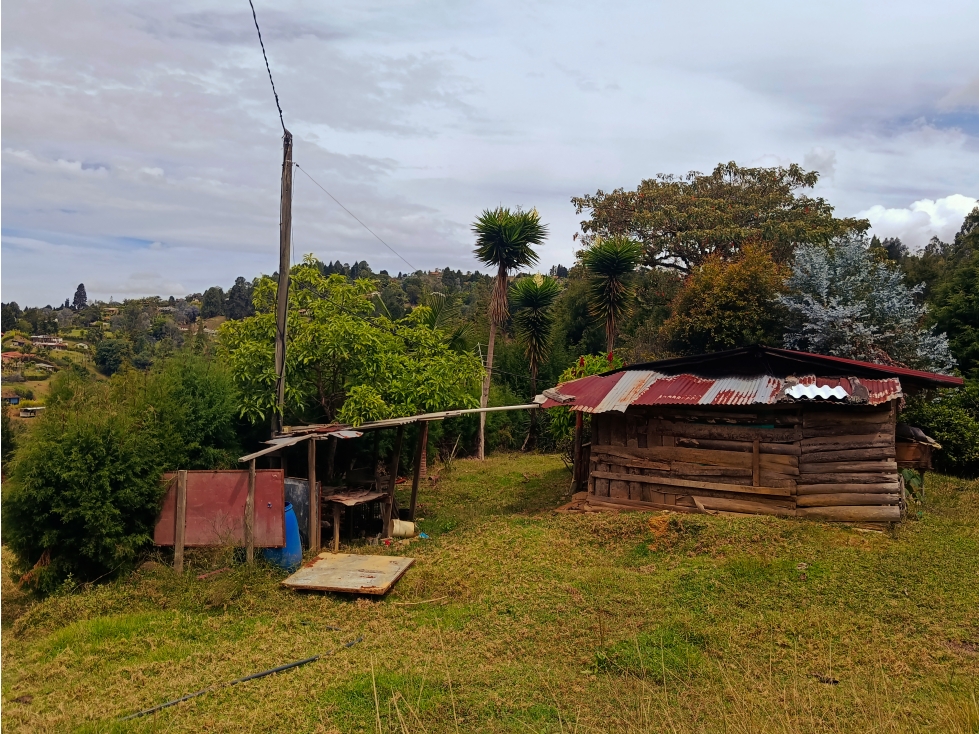 Vendo lote en Guarne Antioquia- Vereda san Isidro — foto 5